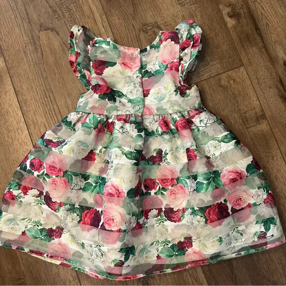 Pastourelle Pippa & Julie Floral Organza Dress w/ Bloomers, Flutter Sleeve, 24m